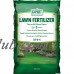 Expert Gardener 15,000 Square Feet Lawn Fertilizer, 29-0-4   563057173